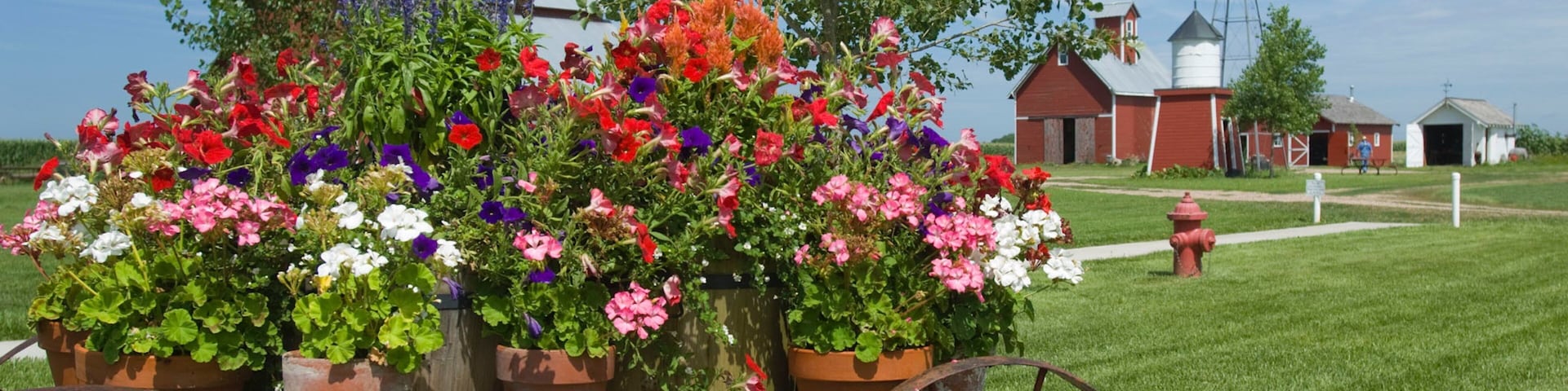 Wessels Living History Farm featuring farmland and flowers