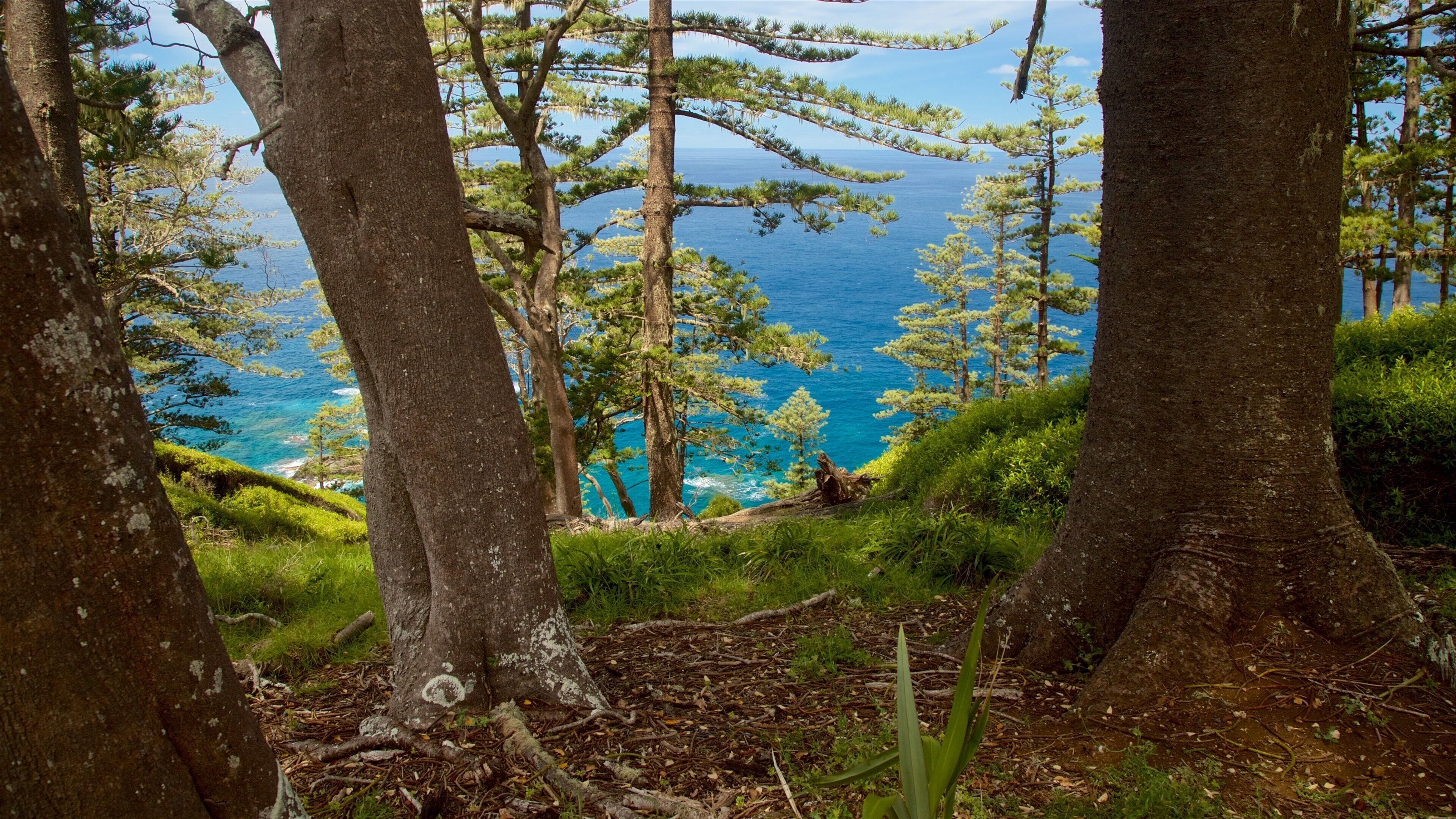 Norfolk Island som omfatter udsigt over kystområde