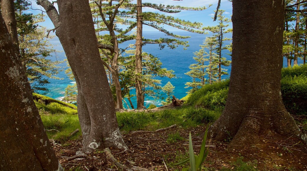 Norfolk Island som omfatter udsigt over kystområde