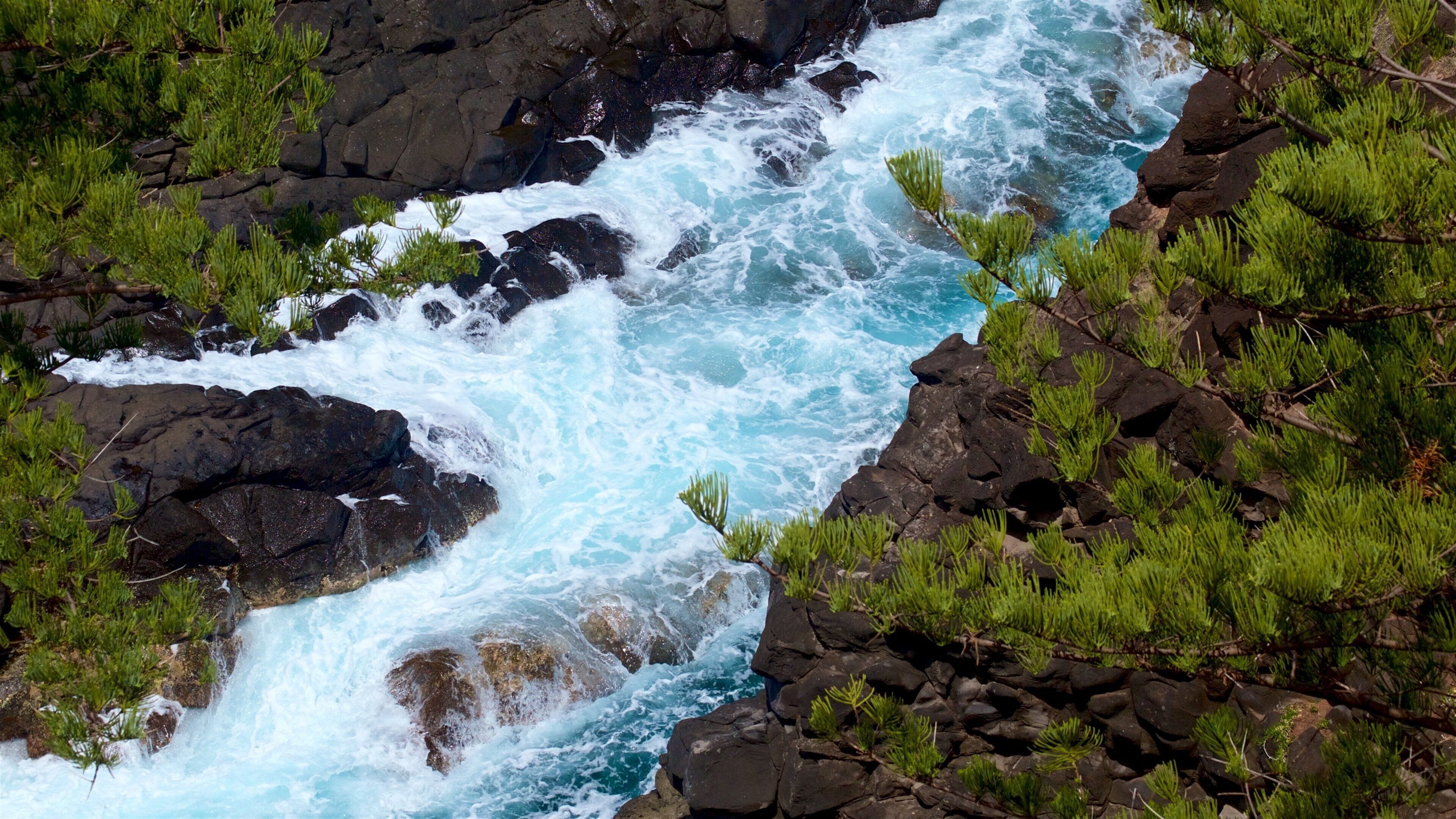 투 침니 리저브