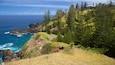Norfolk Island showing rocky coastline and general coastal views