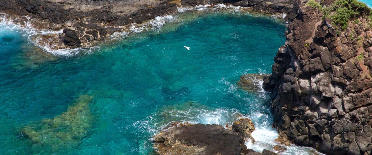 Norfolk Island which includes general coastal views and rugged coastline