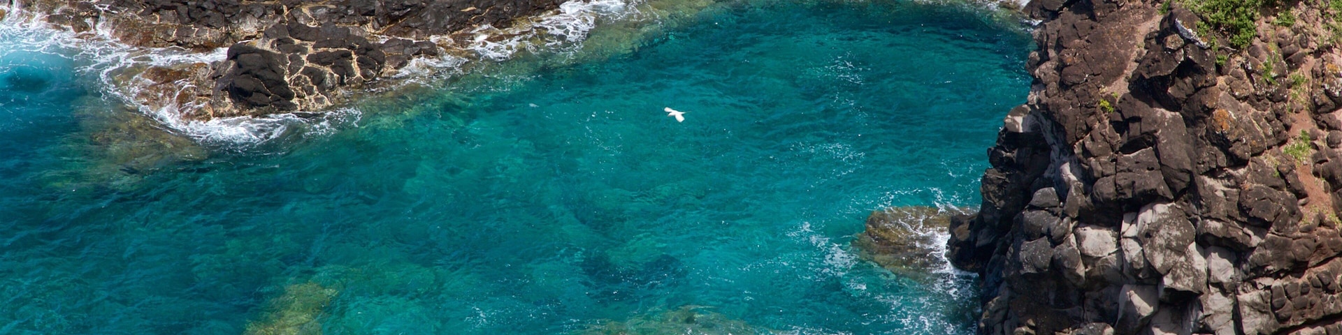 Isla Norfolk que incluye vistas generales de la costa y costa escarpada