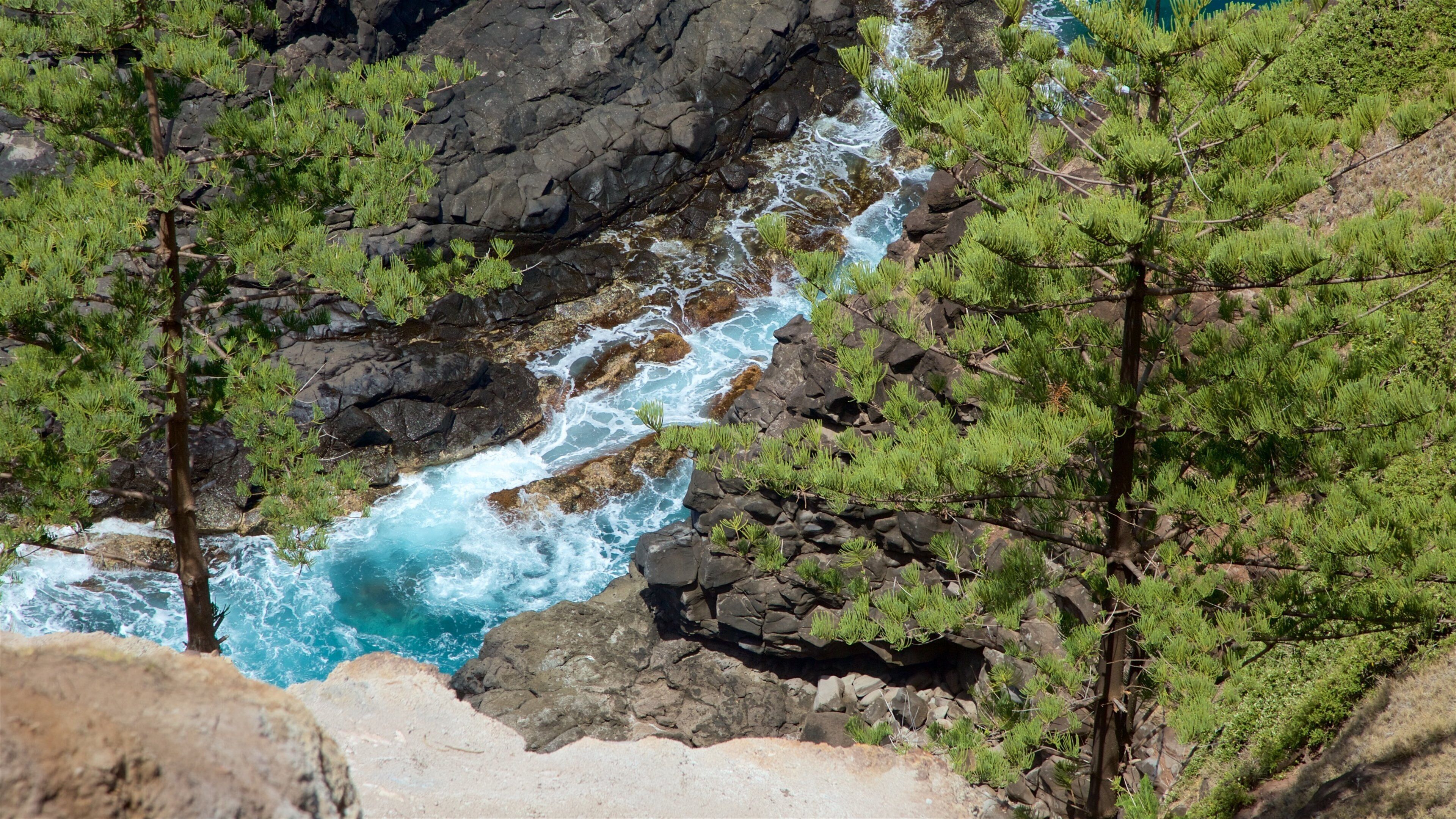 Norfolk Island som omfatter barsk kystlinje og udsigt over kystområde