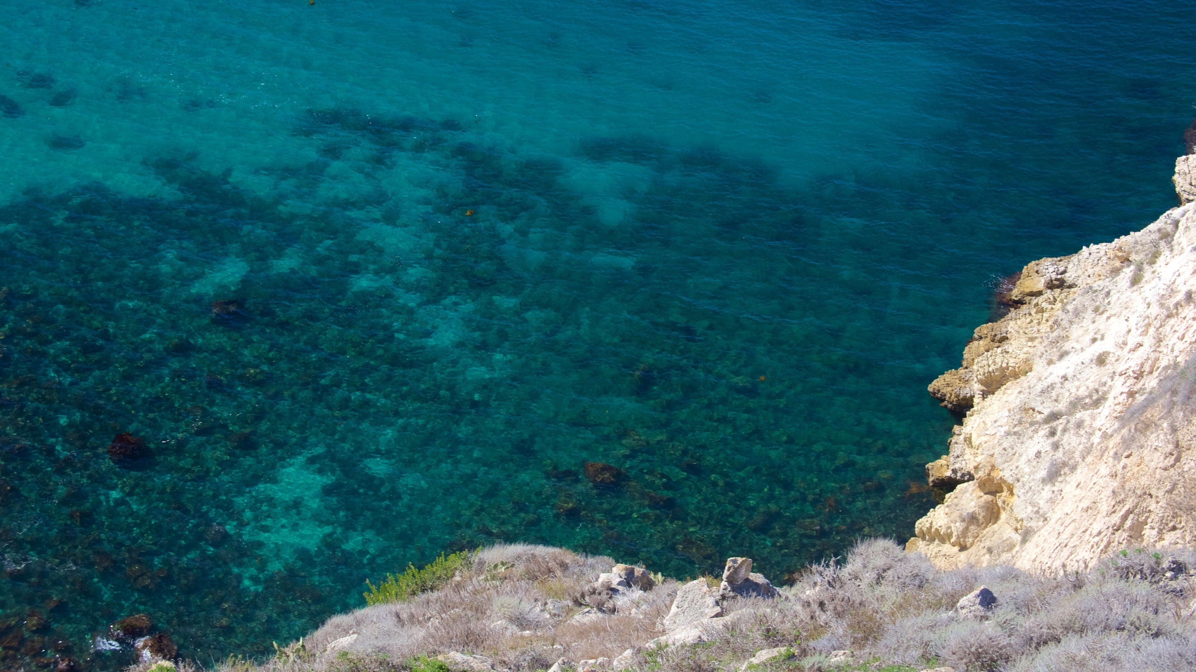 Channel Islands nasjonalpark som viser kyst og stenete kystlinje