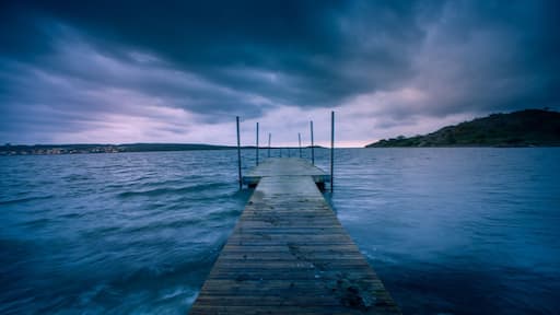 Great place for adults and kids alike!