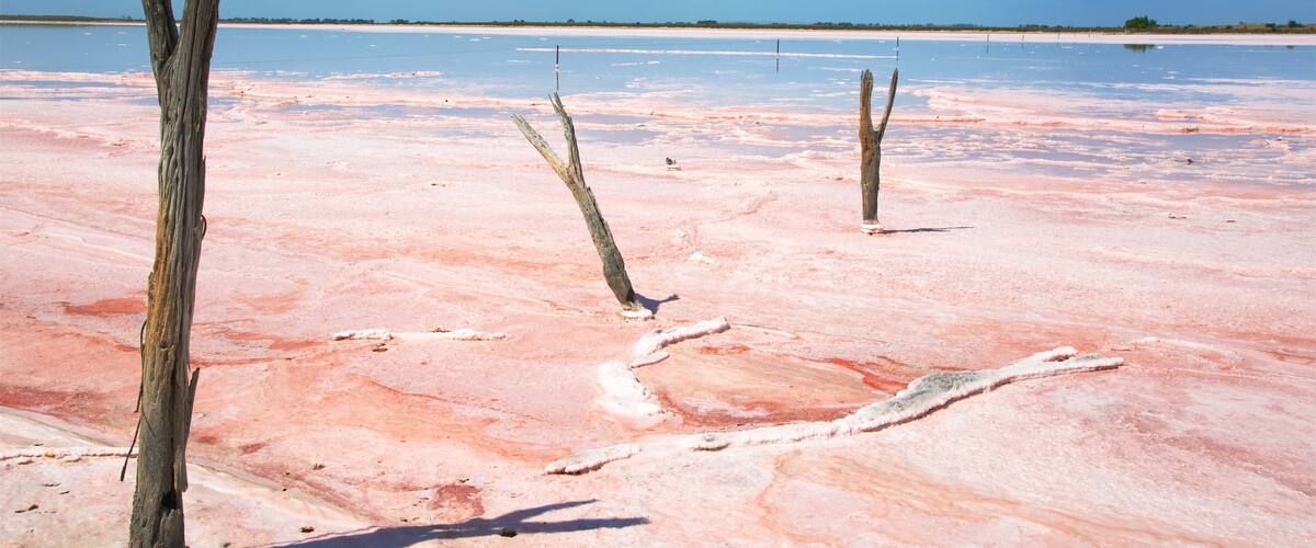 Pink Lake which includes landscape views