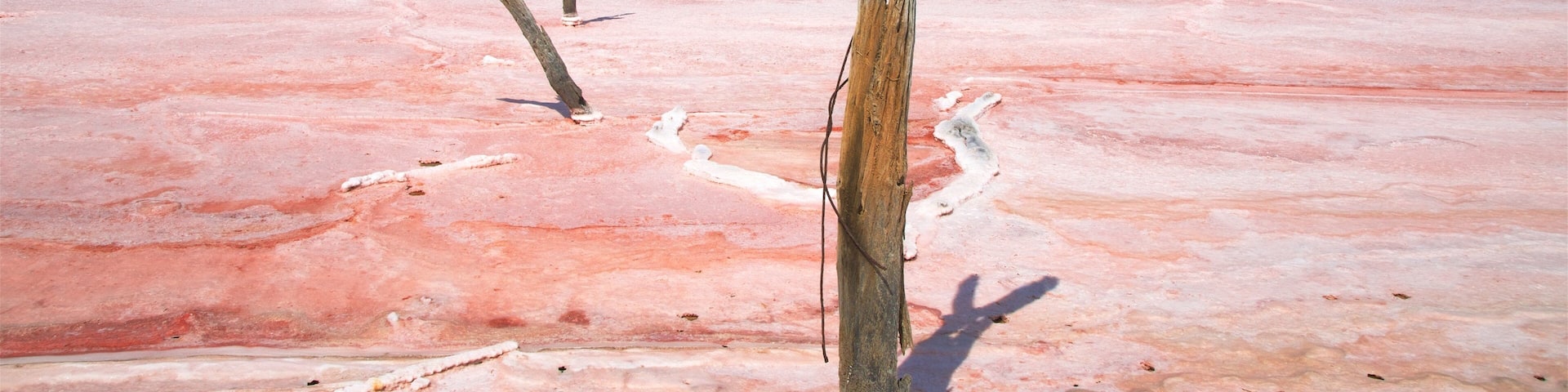 Tailem Bend qui includes riviĂšre ou ruisseau