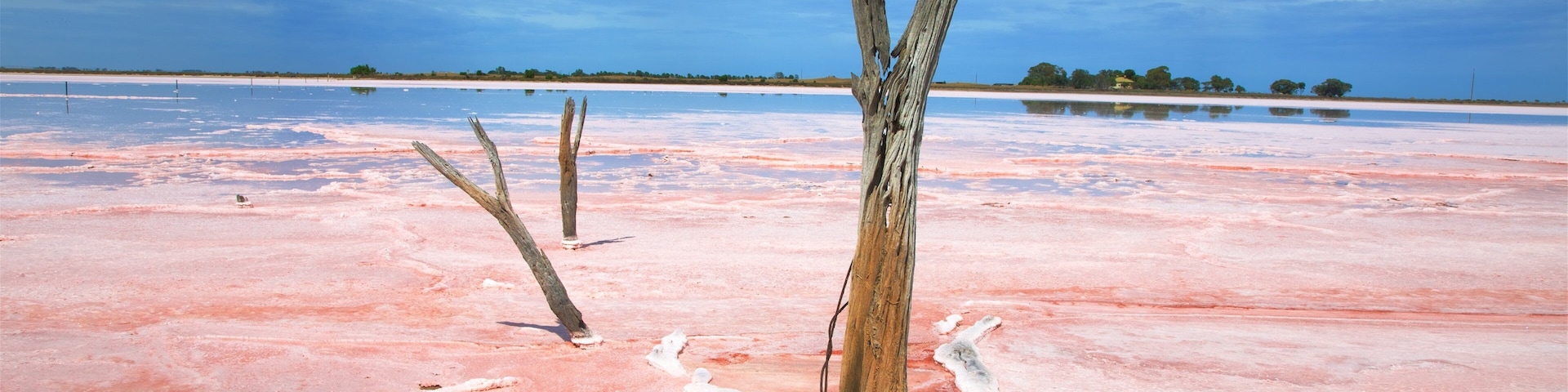 Tailem Bend que incluye un río o arroyo