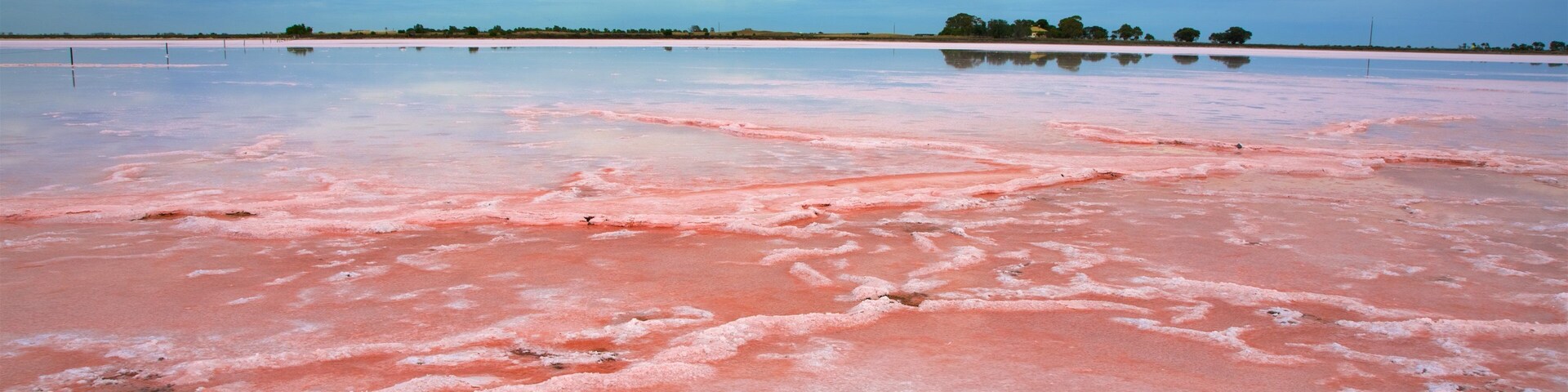 Pink Lake