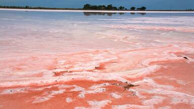 Pink Lake showing a river or creek