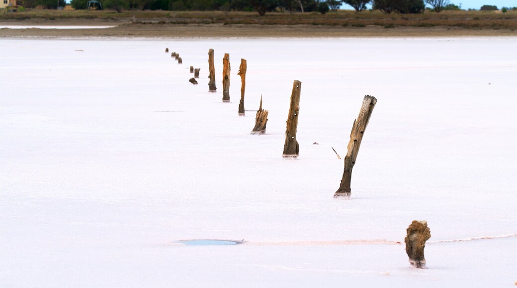 ํ
์ผ๋ ๋ฒค๋ ์ ๋ณด์ฌ์ฃผ๋ ๊ฐ ๋๋ ์๋ด