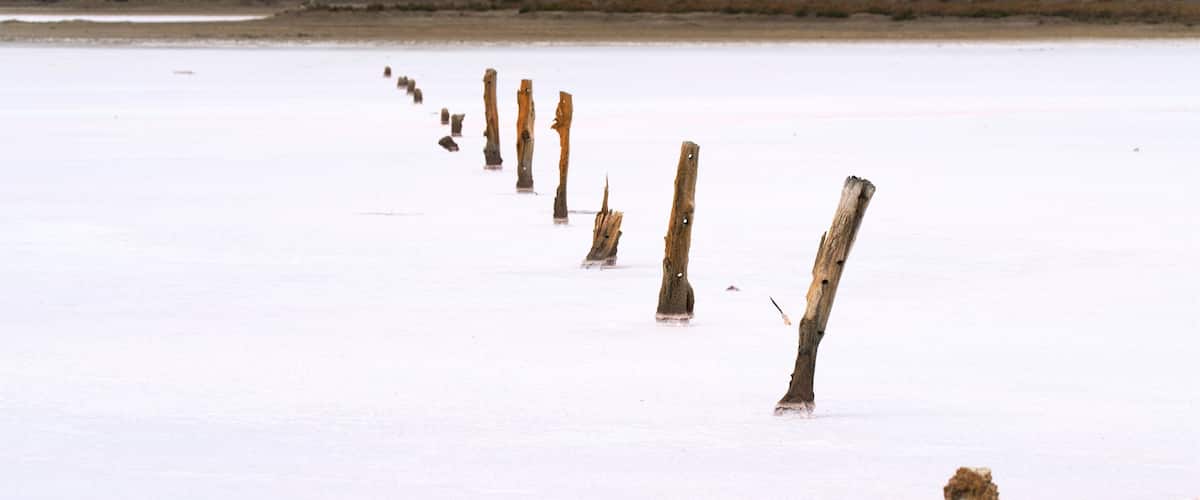 A series of wooden posts in a salt flat.