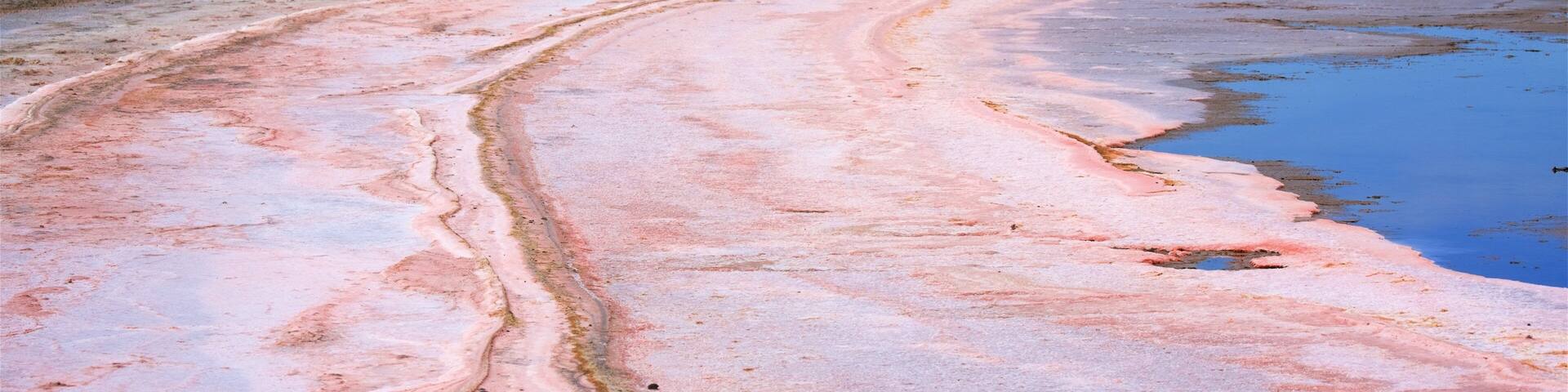 A pink salt flat with a winding path and a body of water.