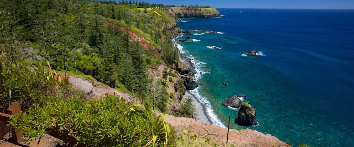 ๋
ธํฝ ์ฌ ์ ํน์ง ์ธํ๋ถํํ ํด์์  ๊ณผ ์ผ๋ฐ ํด์ ์ ๊ฒฝ