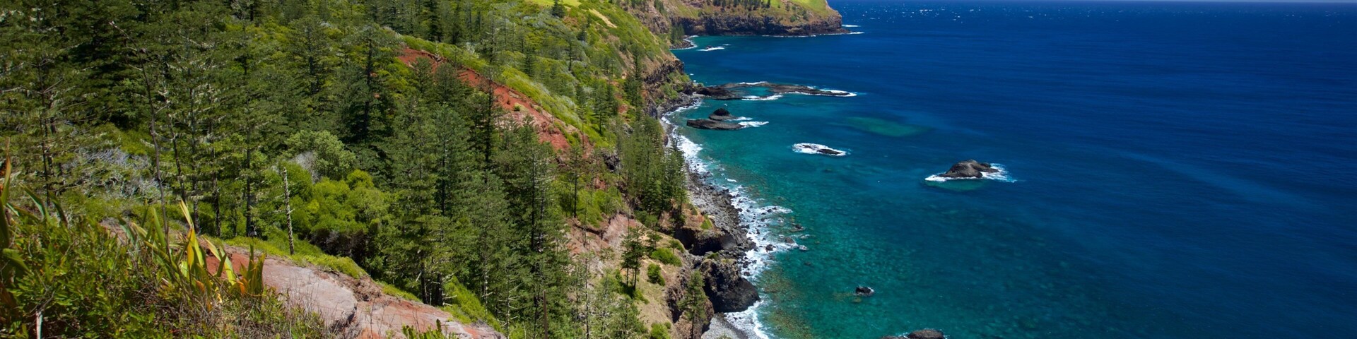 Ilha Norfolk que inclui litoral rochoso e paisagens litorâneas