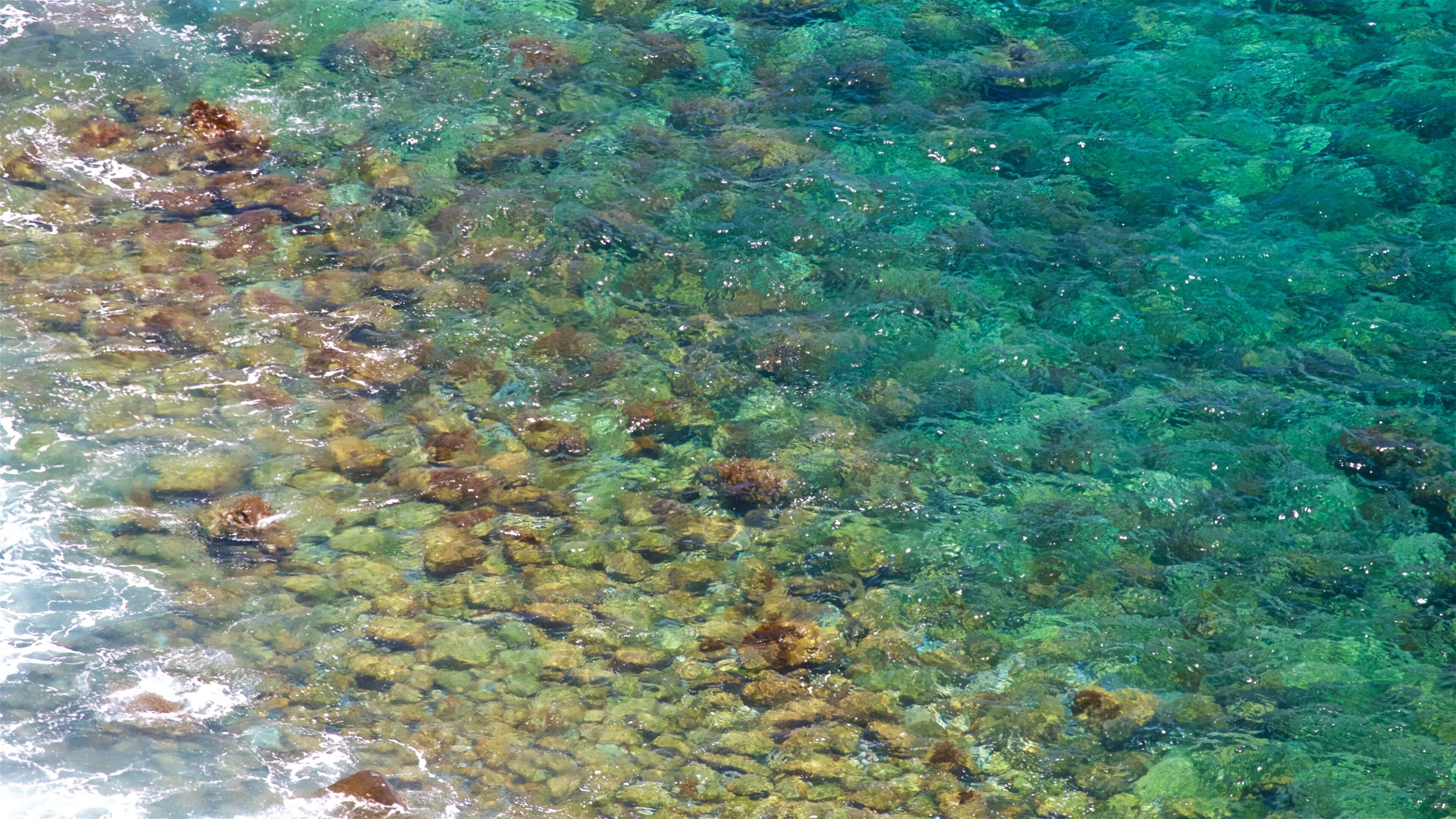 Isla Norfolk que incluye una playa de guijarros y vistas de una costa