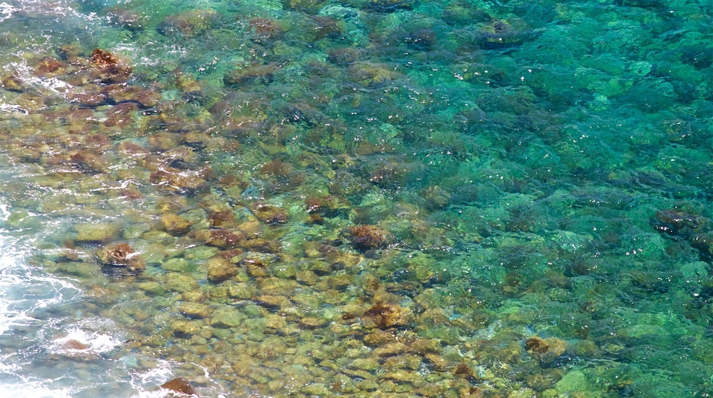 Isla Norfolk que incluye una playa de guijarros y vistas de una costa