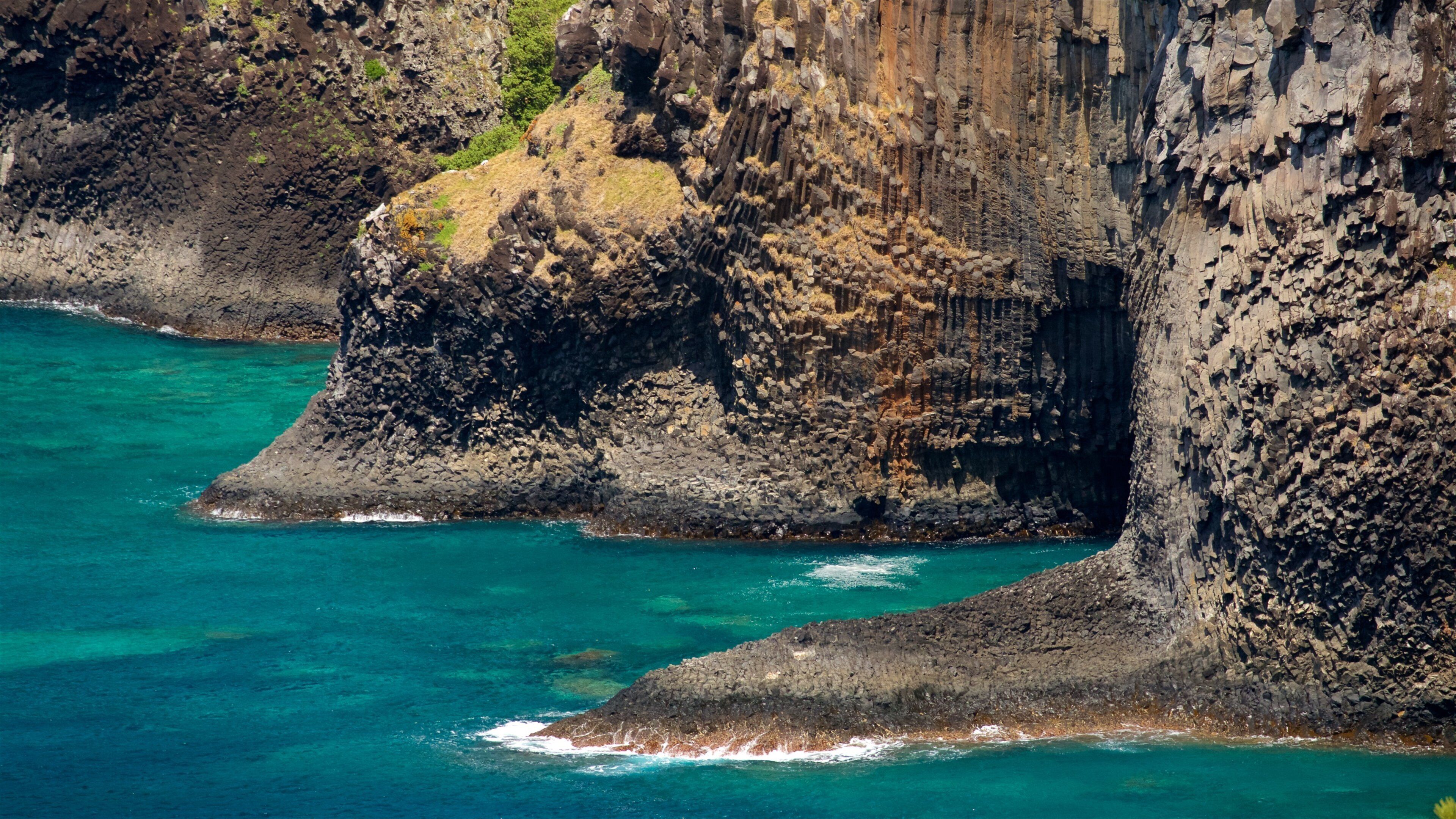 Île Norfolk qui includes vues littorales et côte escarpée
