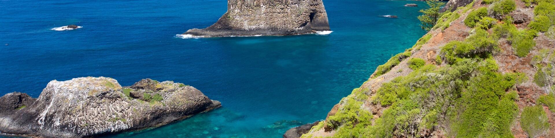 Norfolk Island showing rocky coastline and general coastal views