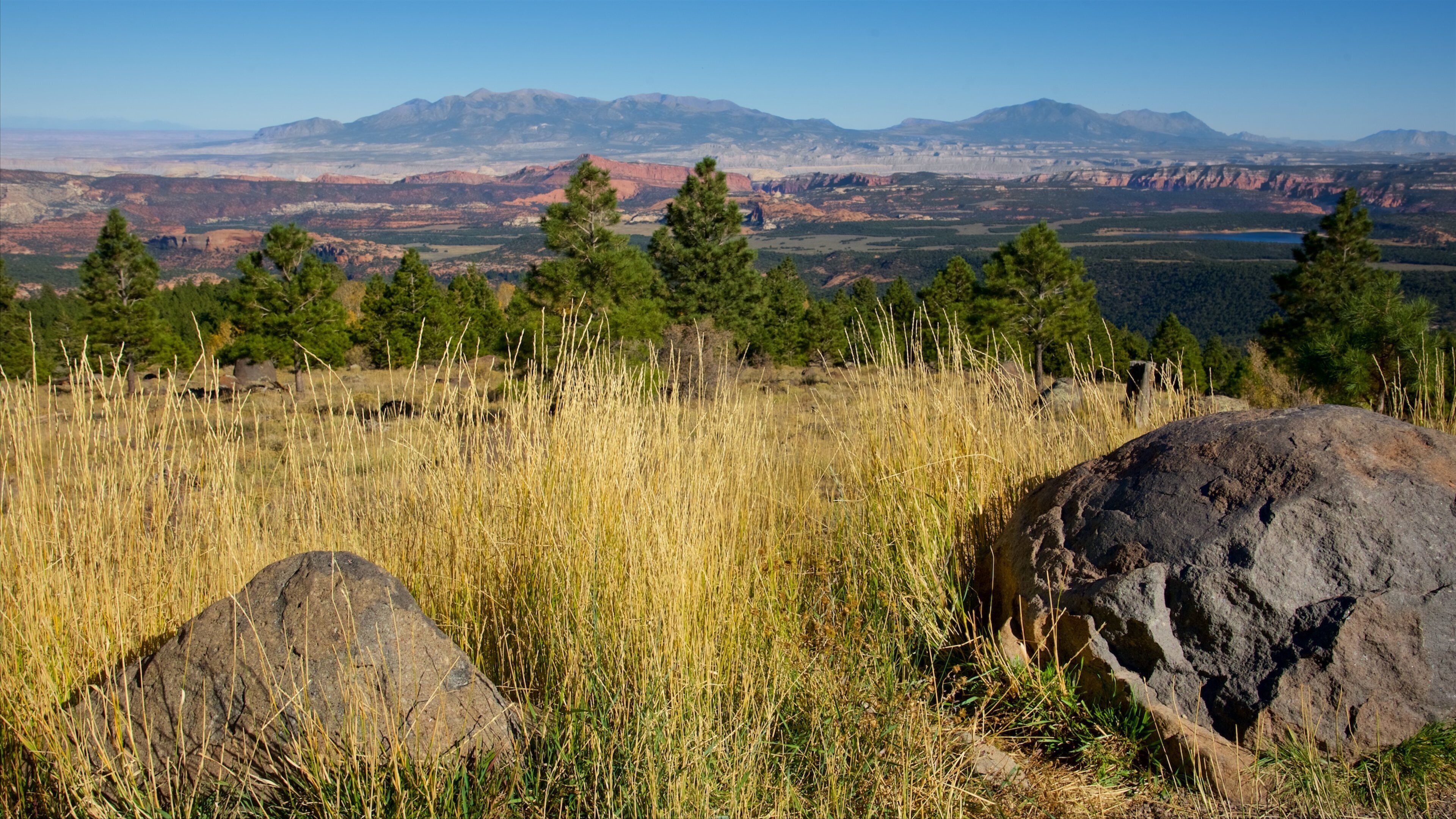 Larb Hollow Overlook