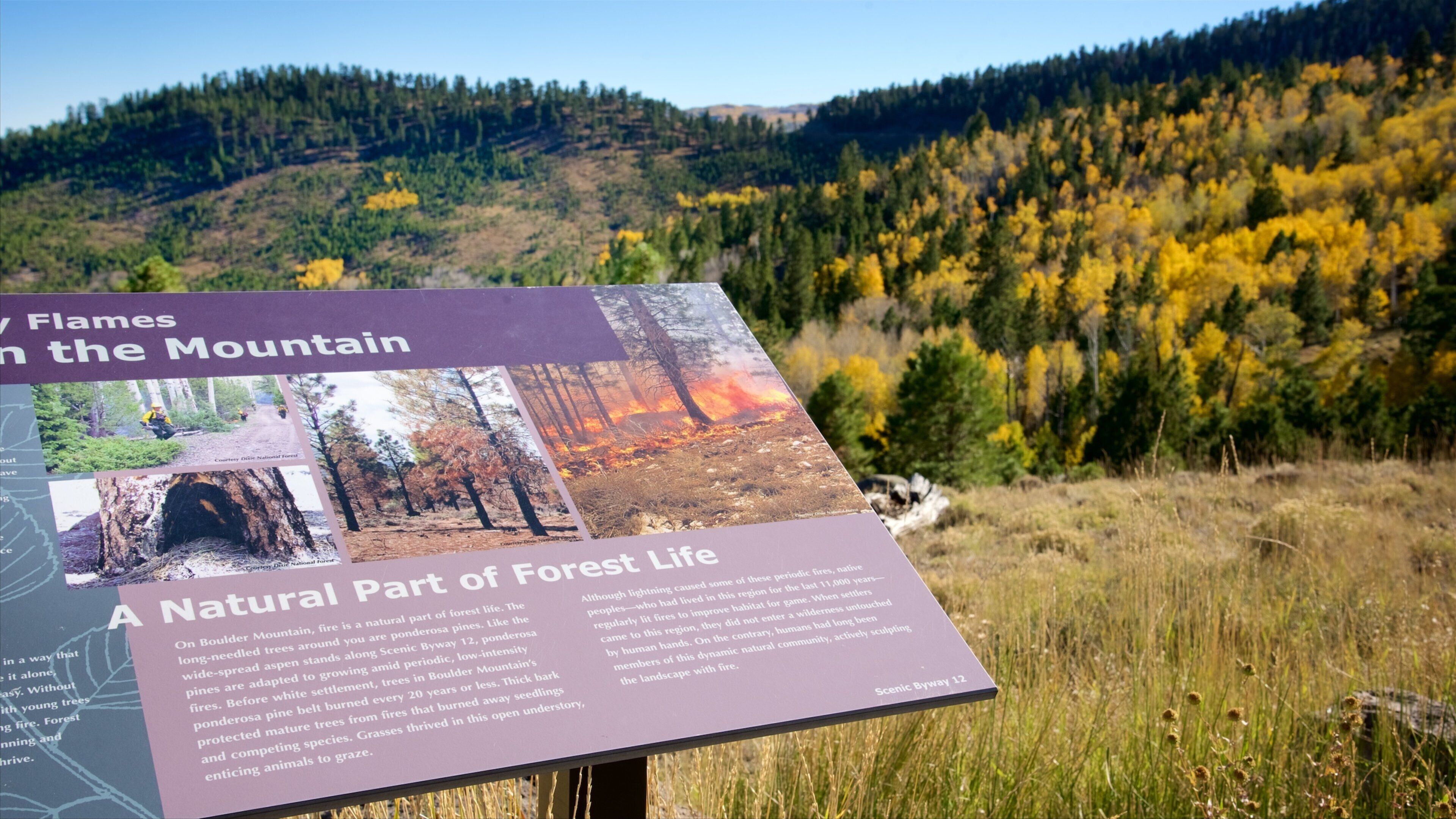 Larb Hollow Overlook