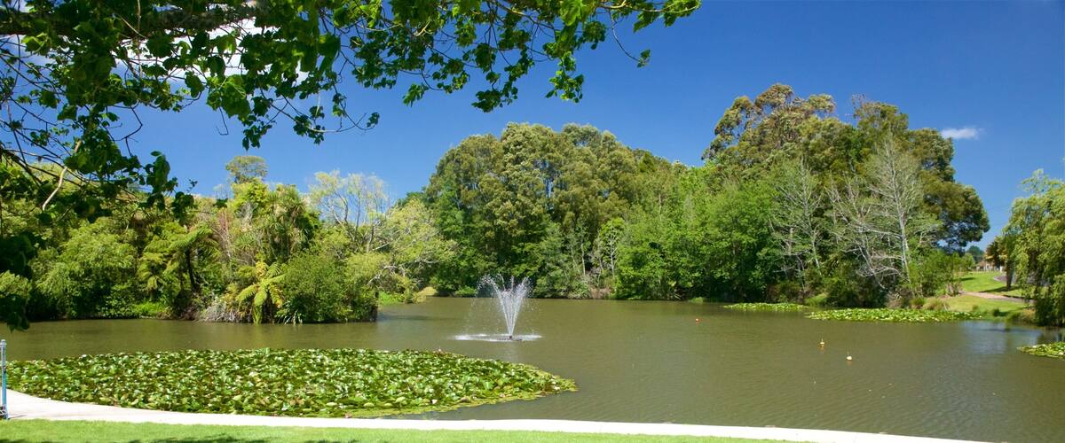 Gilmour Reserve featuring a lake or waterhole, a park and a fountain