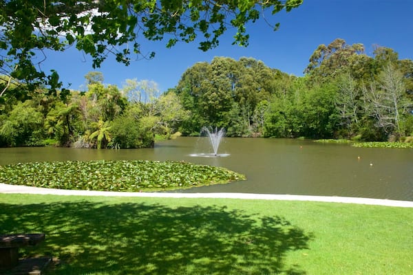 Gilmour Reserve featuring a lake or waterhole, a park and a fountain