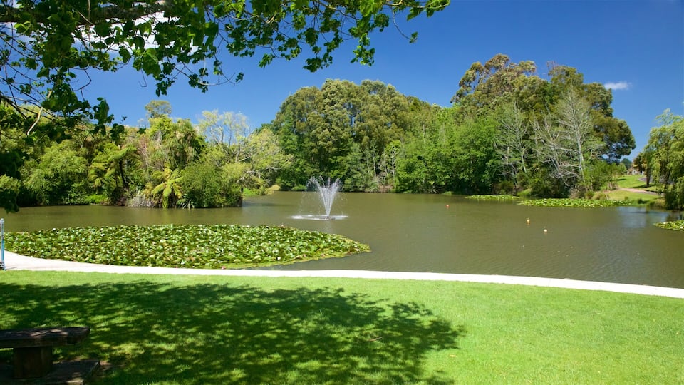 A pond with a fountain, surrounded by lush greenery and trees.