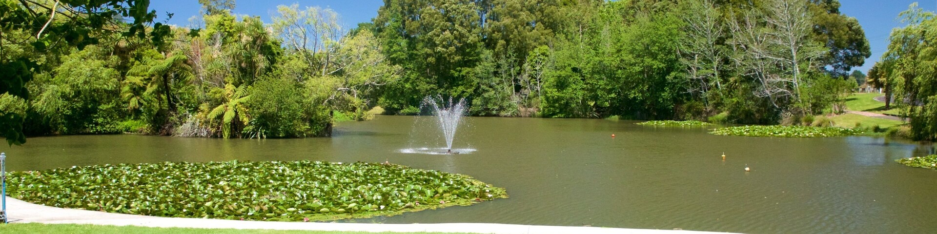 Gilmour Reserve featuring a lake or waterhole, a park and a fountain