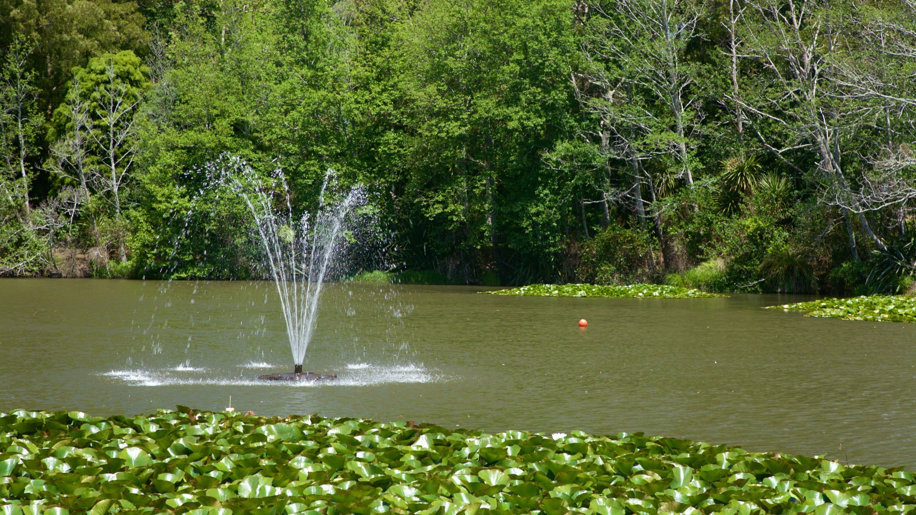 Waihi showing a lake or waterhole and a fountain