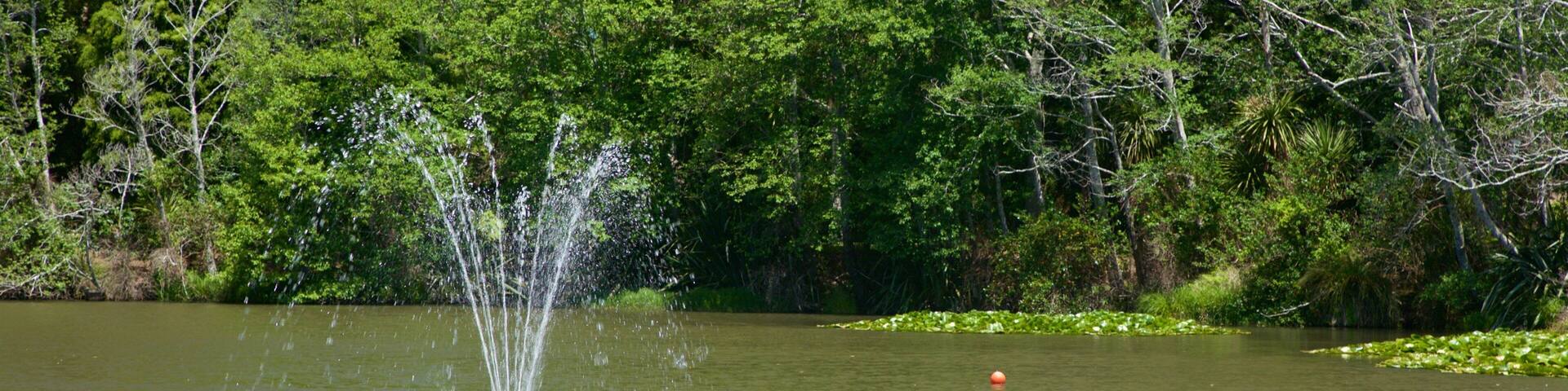 Un étang avec une fontaine au centre, entouré d’une végétation luxuriante et d’arbres.
