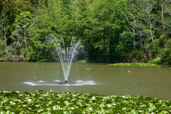 Waihi mit einem See oder Wasserstelle und Springbrunnen