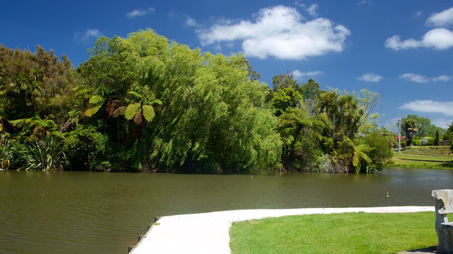 Waihi featuring a river or creek and a park