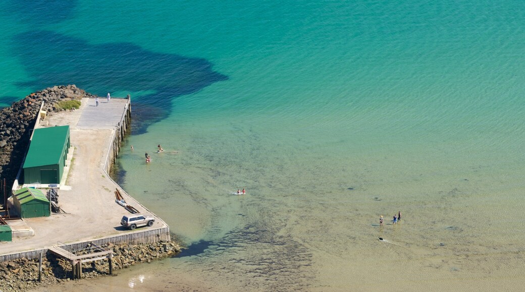 Sawyer Bay featuring general coastal views and tropical scenes