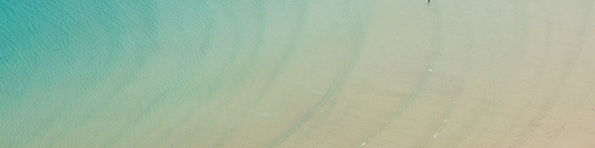 Sawyer Bay showing tropical scenes and general coastal views
