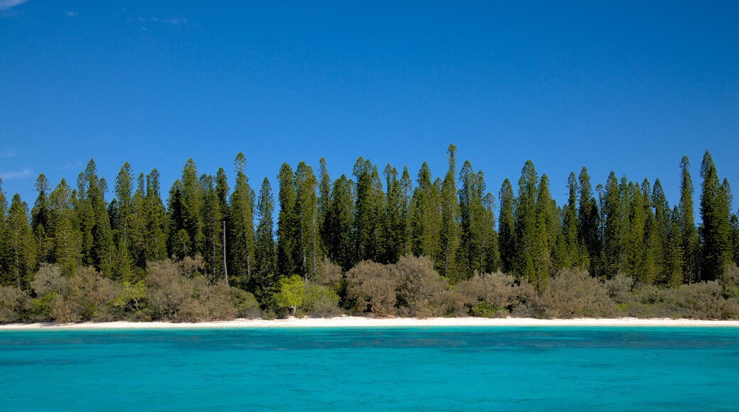 Nya Kaledonien som inkluderar kustutsikter