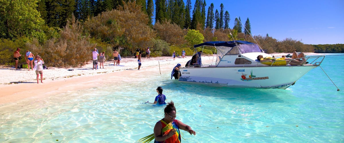 New Caledonia featuring general coastal views, tropical scenes and swimming