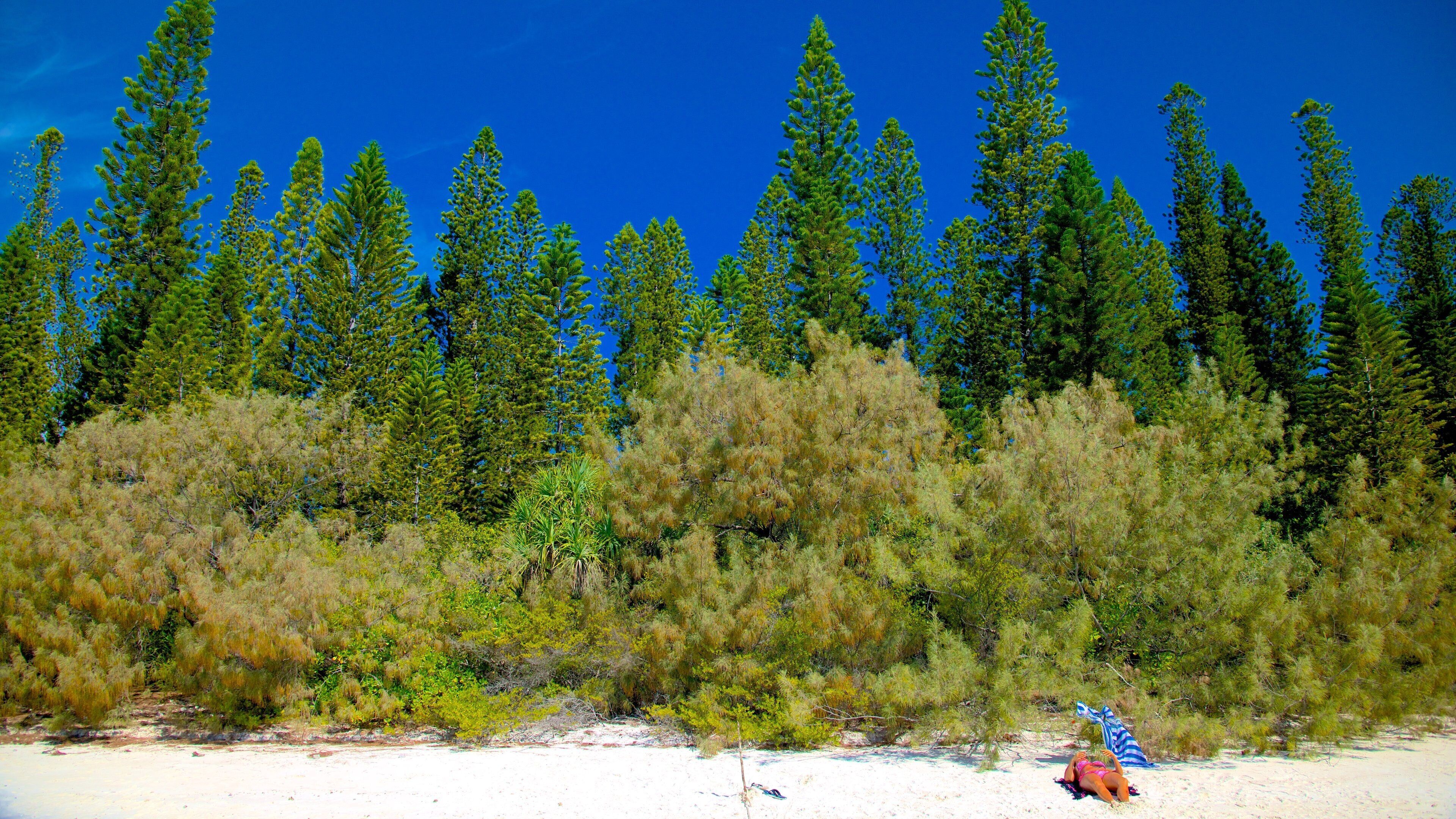 Isle of Pines presenterar en strand