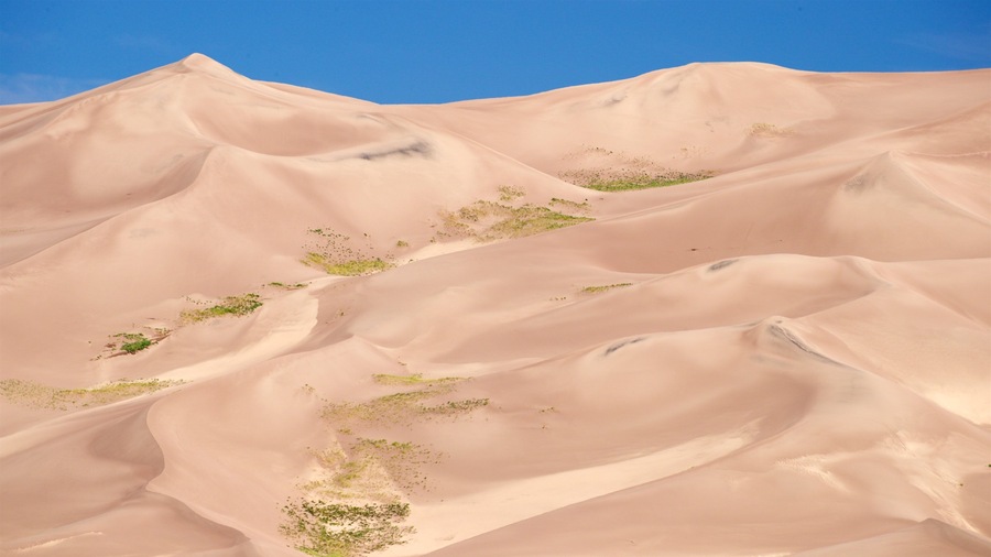 High Dune