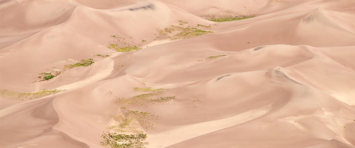 Sand dunes with sparse vegetation.