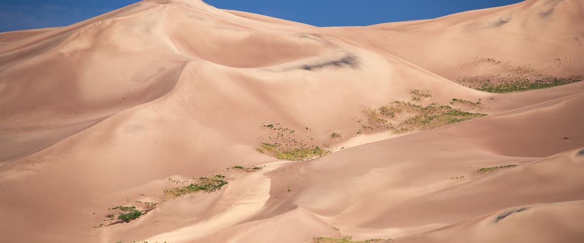 South Central Colorado which includes desert views and landscape views