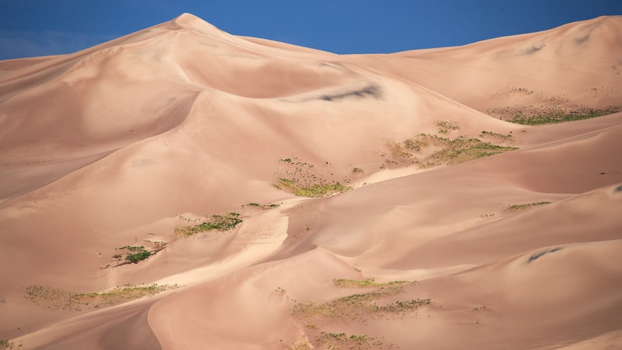 South Central Colorado which includes desert views and landscape views