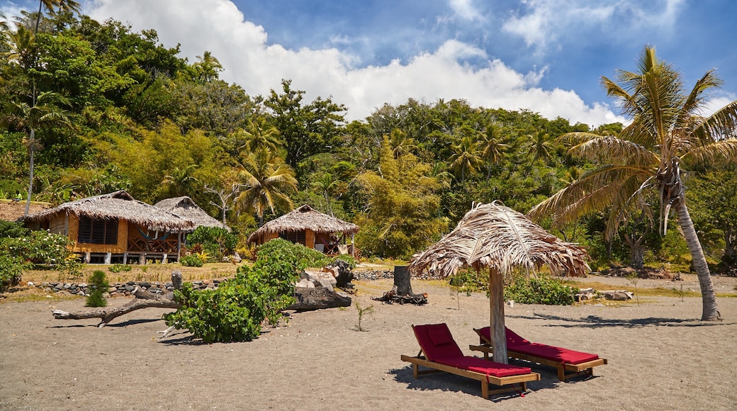 Tanna mettant en vedette plage de sable, vues littorales et scĂšnes tropicales