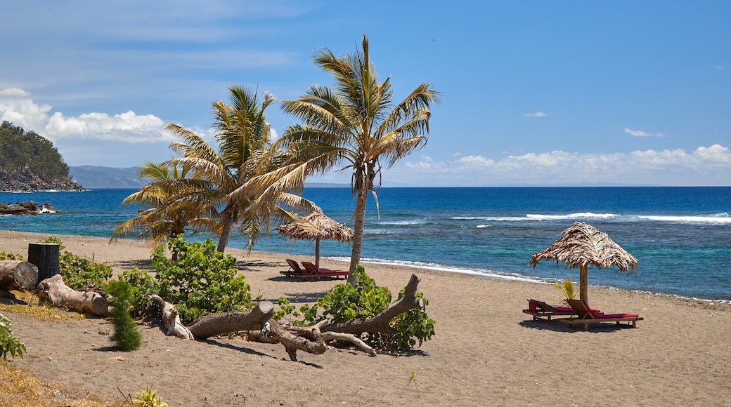 Tanna qui includes scĂšnes tropicales, plage de sable et vues littorales