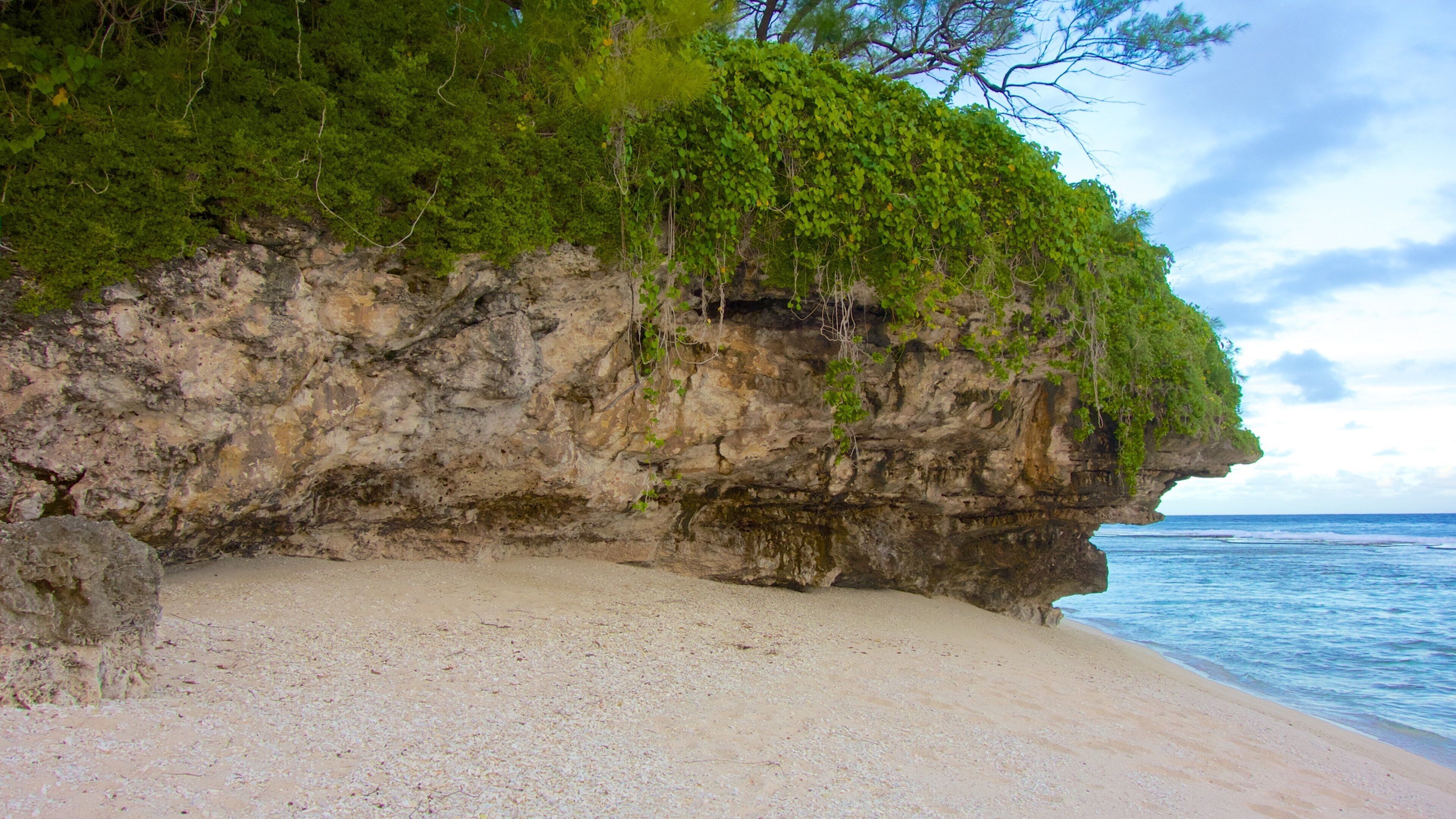 Atiu featuring a beach
