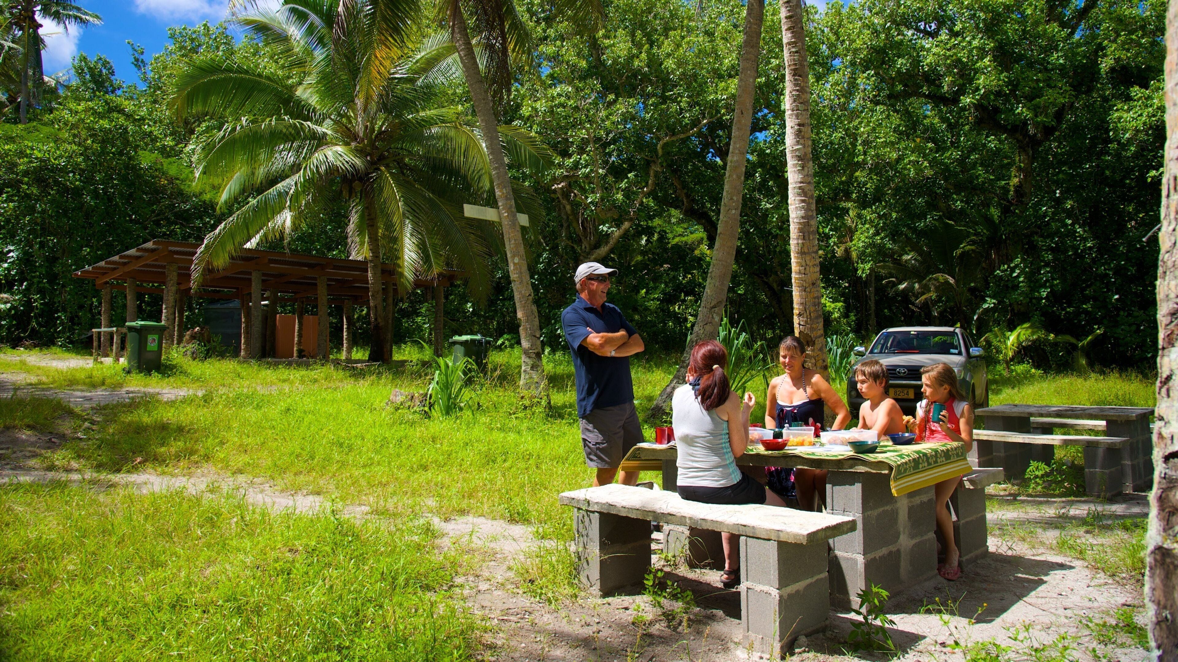 Atiu showing picnicking and forests as well as a small group of people
