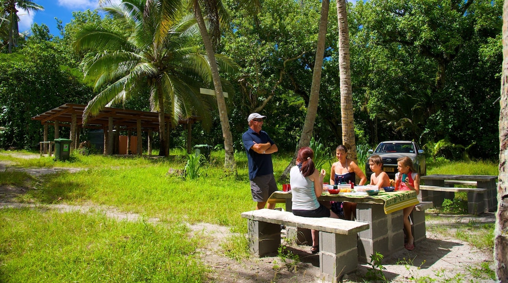 Atiu showing picnicking and forests as well as a small group of people