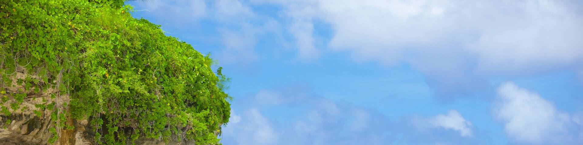 Atiu showing rugged coastline