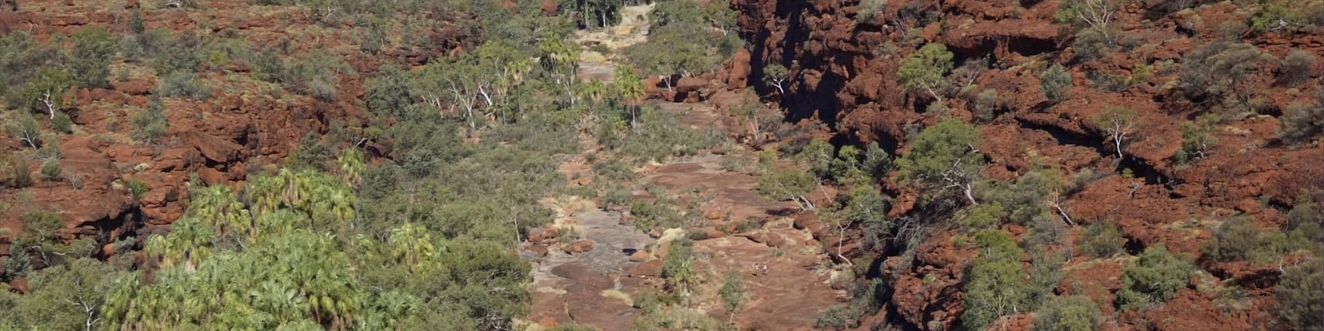 A rugged landscape with red rock formations, green vegetation, and a narrow canyon.
